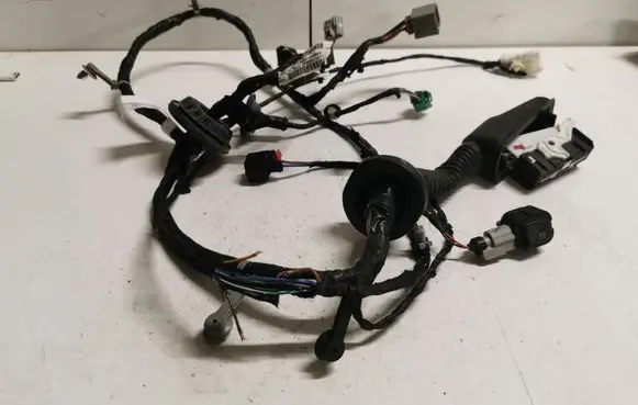 Chevrolet Camaro Front door wiring loom 84319092