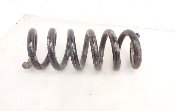 Rear coil spring