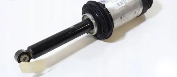 Tesla Model 3 Rear shock absorber/damper 1067466