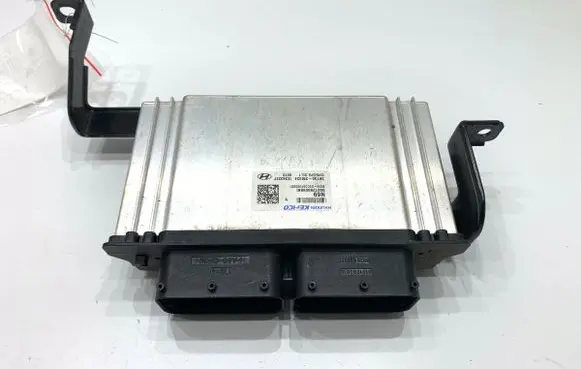 Hyundai Elantra VII Engine control unit/module ECU 39100-2M324