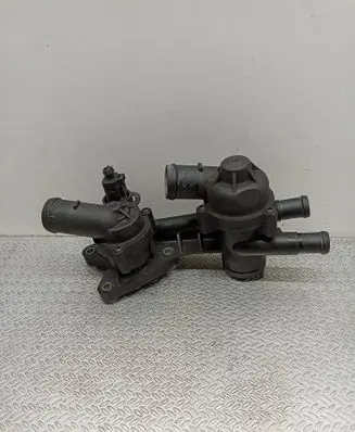 Thermostat/thermostat housing