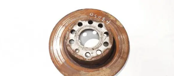 Skoda Octavia Mk2 (1Z) Rear brake disc neventiliuojamas
