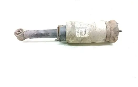 Land Rover Range Rover Sport L320 Air suspension front shock absorber 22238305