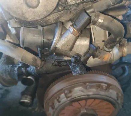 Alfa Romeo 156 Engine coolant pipe/hose