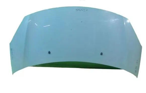 Citroen C3 Engine bonnet/hood WP173