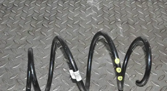 Front coil spring