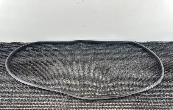 Renault Scenic IV - Grand scenic IV Front door rubber seal