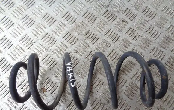 Rear coil spring