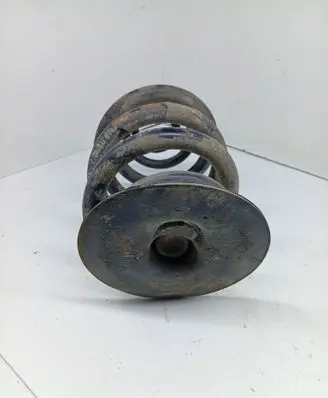 Rear coil spring