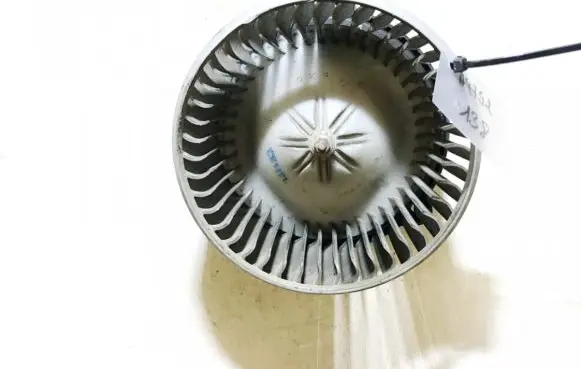 Chevrolet Tacuma Heater fan/blower