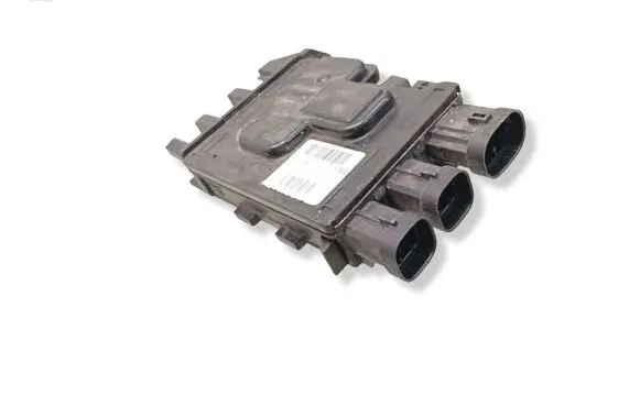 Renault Megane III Positive wiring loom 243800011R