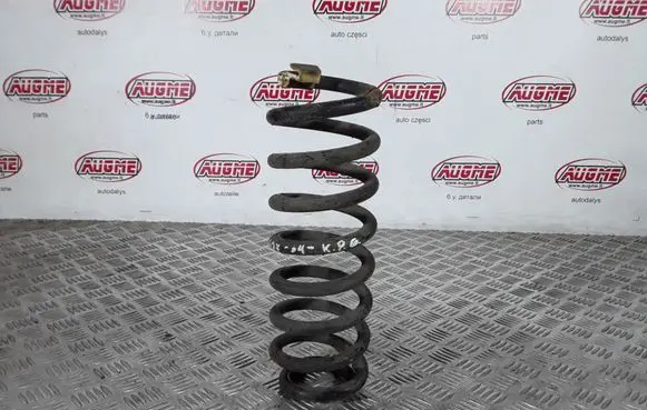 Rear coil spring