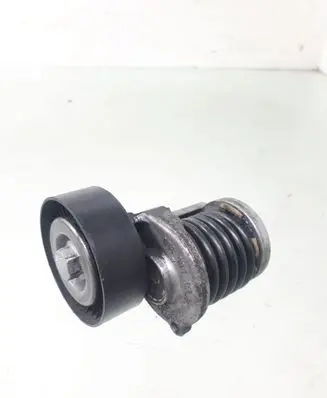 Skoda Yeti (5L) Generator/alternator belt tensioner 038903315