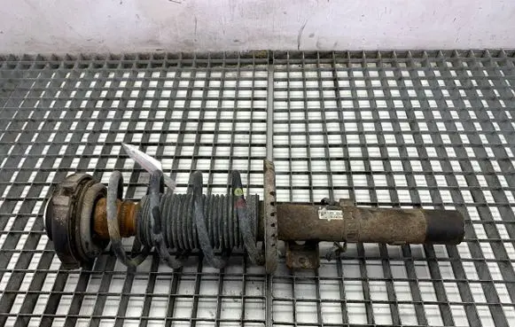 Skoda Roomster (5J) Front shock absorber/damper 6Q0413031B
