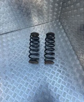 Rear coil spring