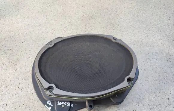 Front door speaker