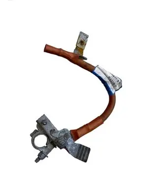 Opel Vivaro Positive cable (battery) 243866500R