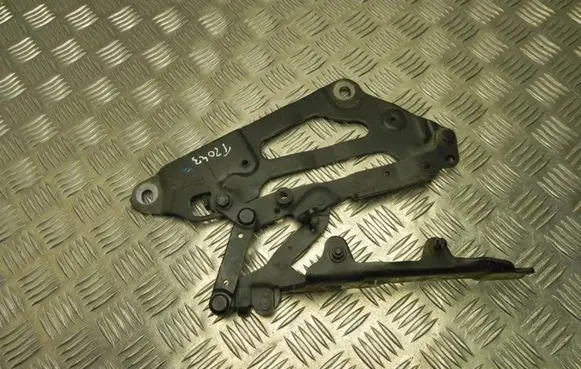 BMW 5 GT F07 Tailgate/trunk/boot hinge 7046324 T2043