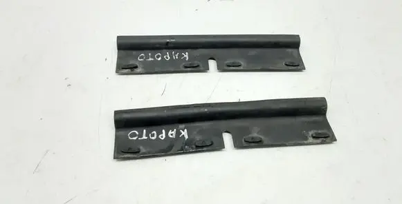 Engine bonnet/hood lock trim molding