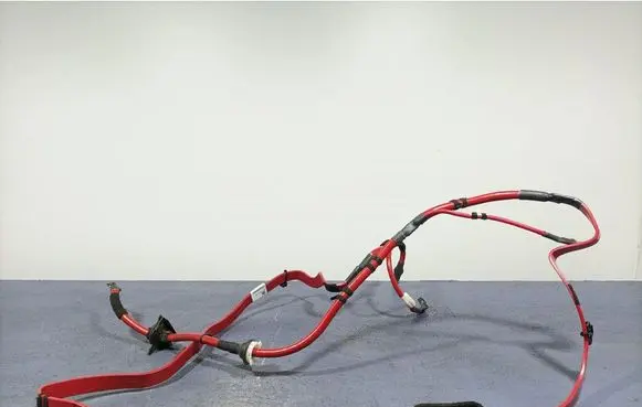 Other wiring loom