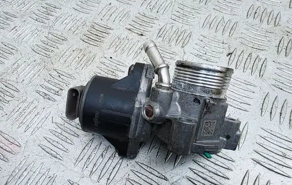 EGR valve