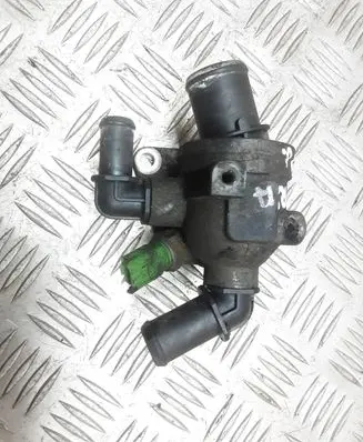 Thermostat/thermostat housing