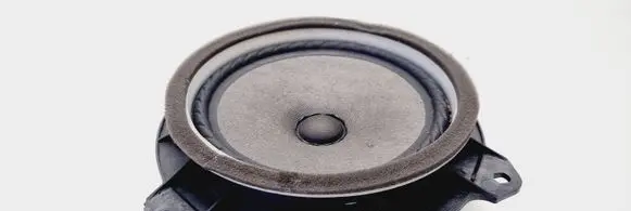 Toyota Scion Front door speaker 861602B580