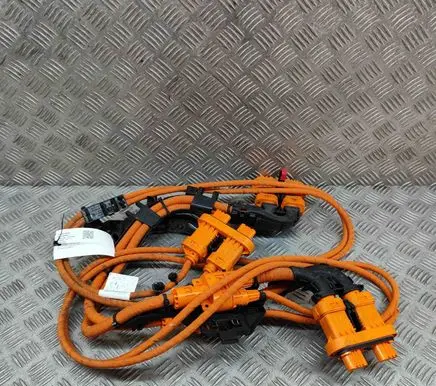 Volkswagen ID.5 Other wiring loom 1EA971013M