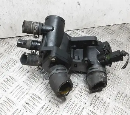 Thermostat/thermostat housing