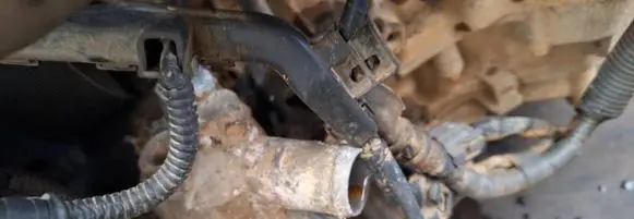 Honda FR-V Engine coolant pipe/hose