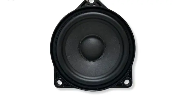 Tesla Model 3 Panel speaker 107974200B