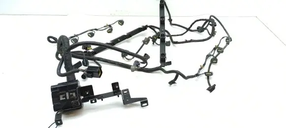 Engine installation wiring loom