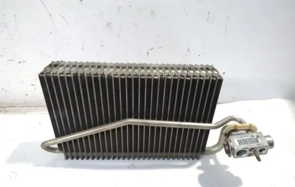 Mercedes-Benz C W203 Air conditioning (A/C) radiator (interior) A2098300258