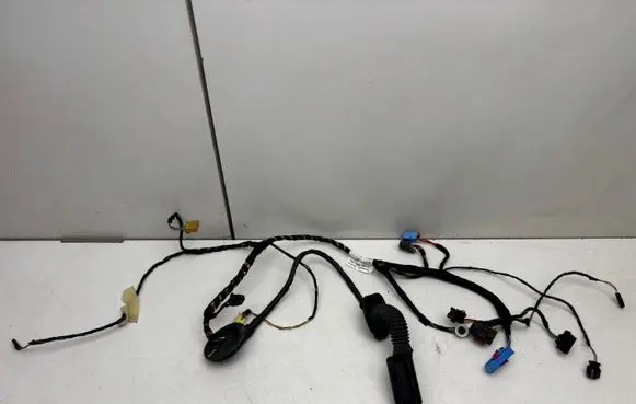 Front door wiring loom