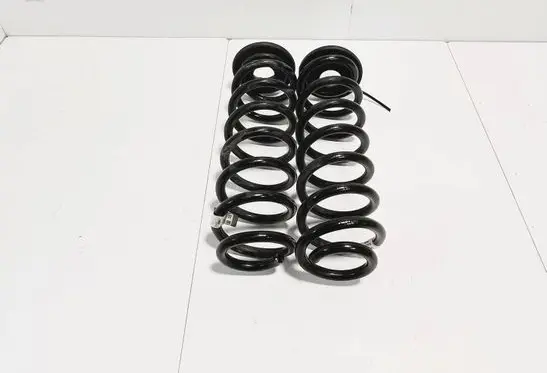 Rear coil spring
