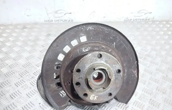 Porsche Cayenne (9PA) Rear wheel hub spindle/knuckle 