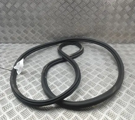 BMW X6 G06 Rubber seal front coupe door 7437779