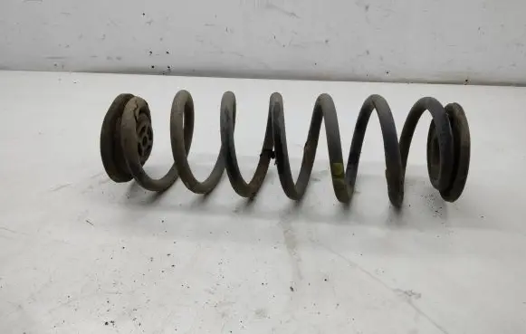Volkswagen Tiguan Rear coil spring
