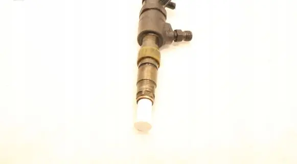 Peugeot Partner Fuel injector 0445110566
