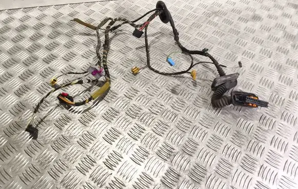 Volkswagen Golf VI Front door wiring loom 5N0959843b