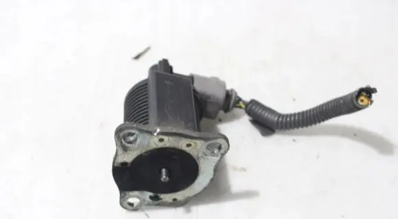 Nissan Micra EGR valve