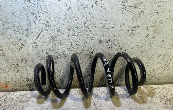 Rear coil spring