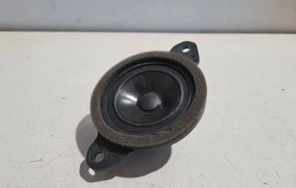 Front door high frequency speaker