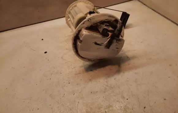 Citroen C3 In-tank fuel pump 0580314035