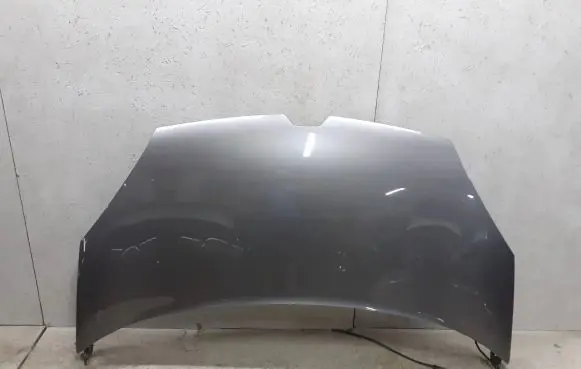 Renault Kangoo II Engine bonnet/hood
