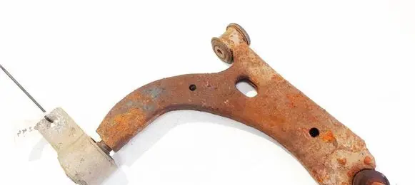Front lower control arm/wishbone