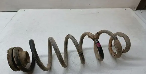 Rear coil spring