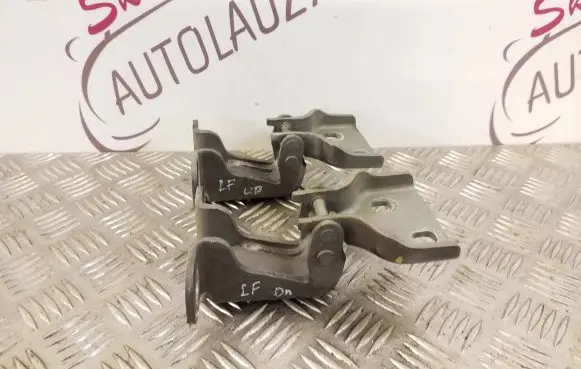 Renault Trafic III (X82) Front door lower hinge 