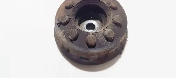 Coil spring mount