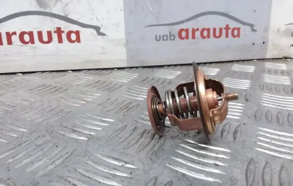 Volkswagen Sharan Thermostat/thermostat housing 1110